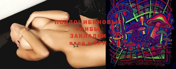 спиды Алексеевка