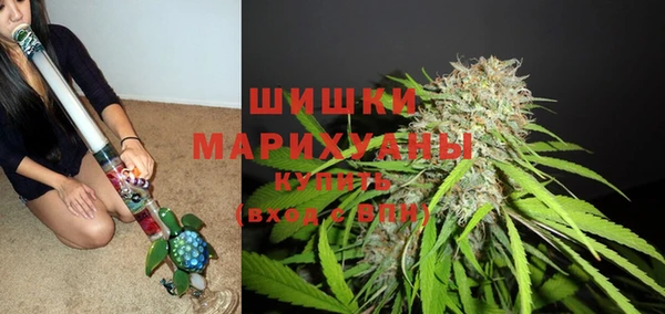трава Алзамай
