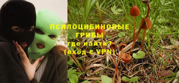 спиды Алексеевка